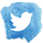 twitter icon